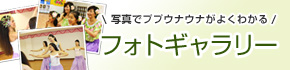 フォトギャラリー