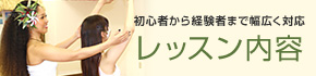 レッスン内容